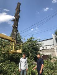 У Заводському районі Кам’янського завершено ліквідацію наслідків негоди